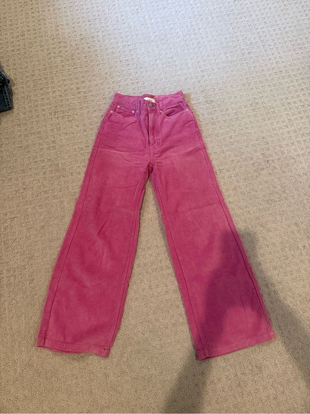 BDG Wide Leg Corduroy Pants in Pink